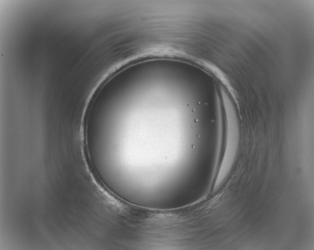 X0000074941335200609151955