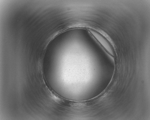 X0000074941337200609151955