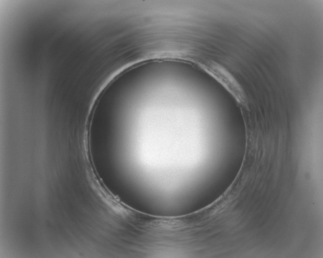 X0000074941340200609151955