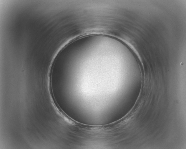 X0000074941341200609151955