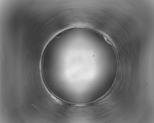 X0000074941343200609151955