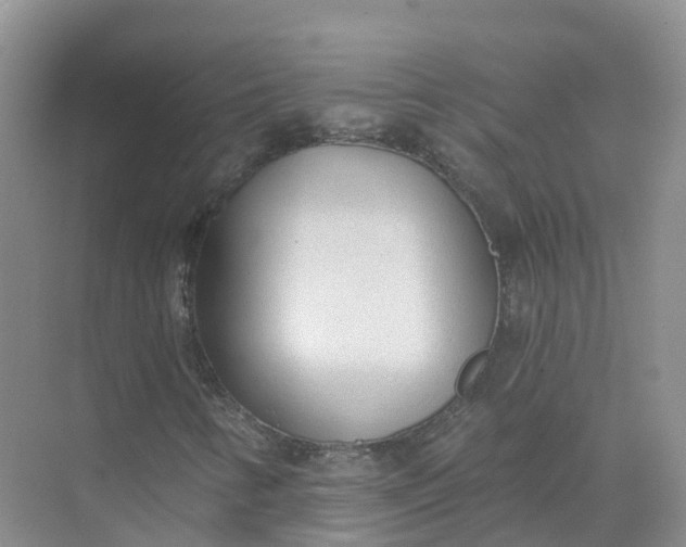 X0000074941346200609151954