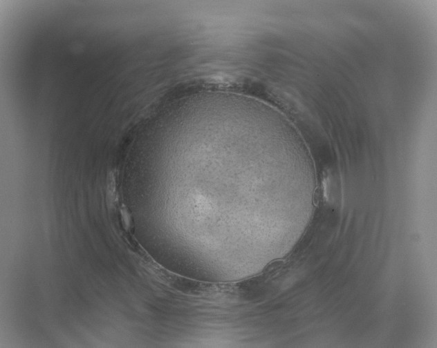 X0000074941347200609151954