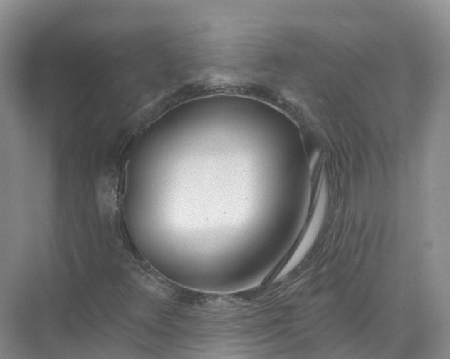 X0000074941348200609151954