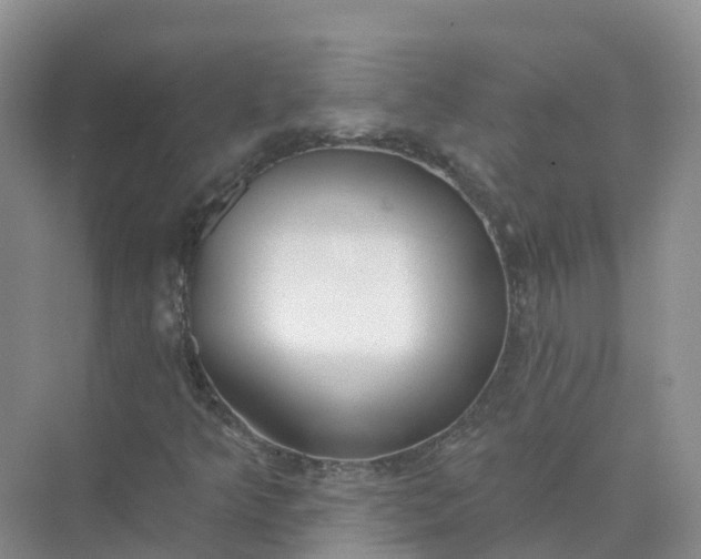 X0000074941349200609151954