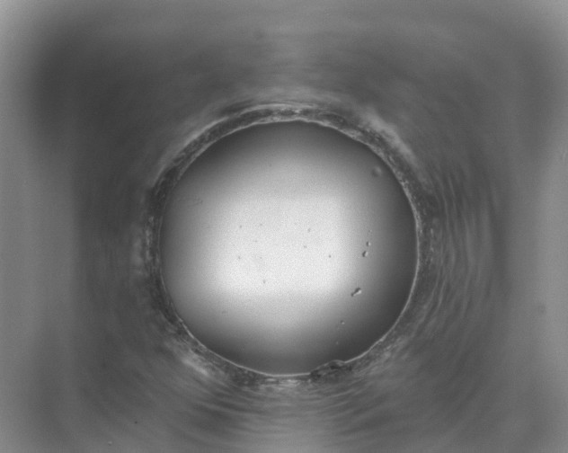 X0000074941352200609151954