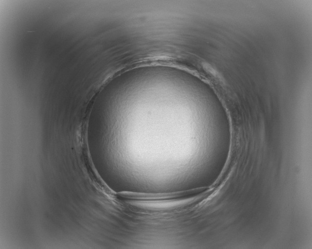 X0000074941353200609151954