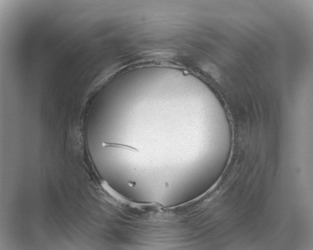 X0000074941354200609151954