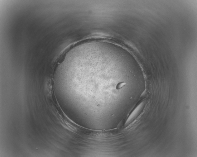 X0000074941355200609151954