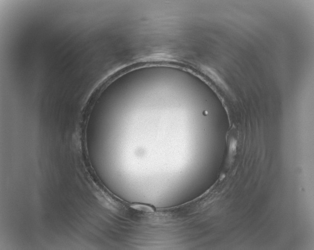 X0000074941356200609151954