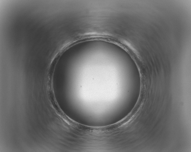 X0000074941357200609151954