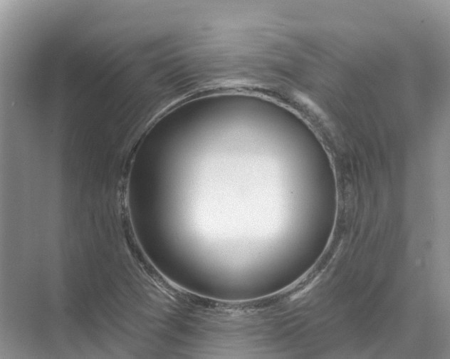 X0000074941361200609151954