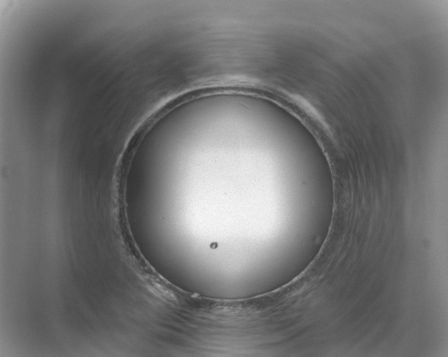 X0000074941364200609151954