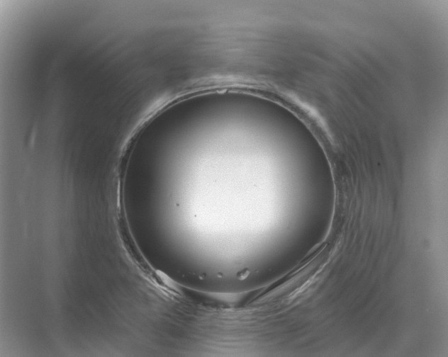 X0000074941365200609151954