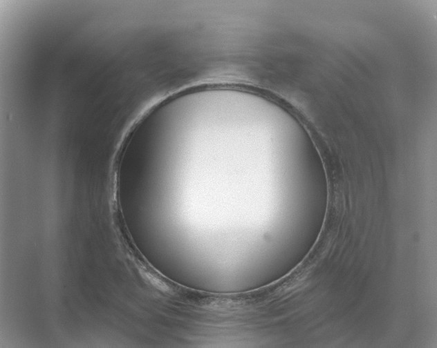 X0000074941366200609151954