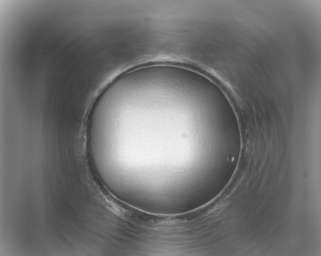 X0000074941367200609151954