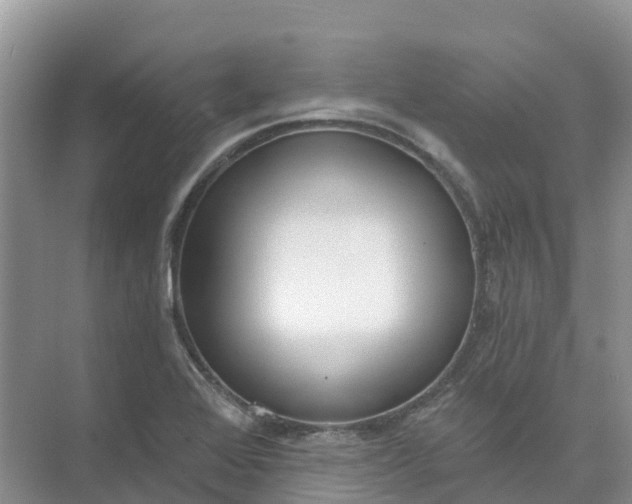 X0000074941368200609151954