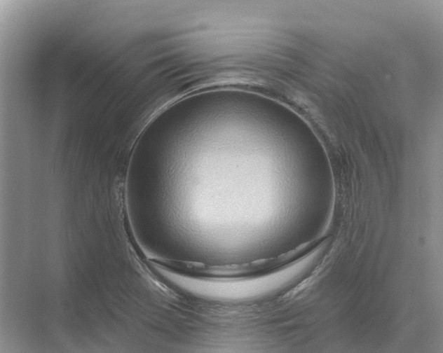 X0000074941369200609151954