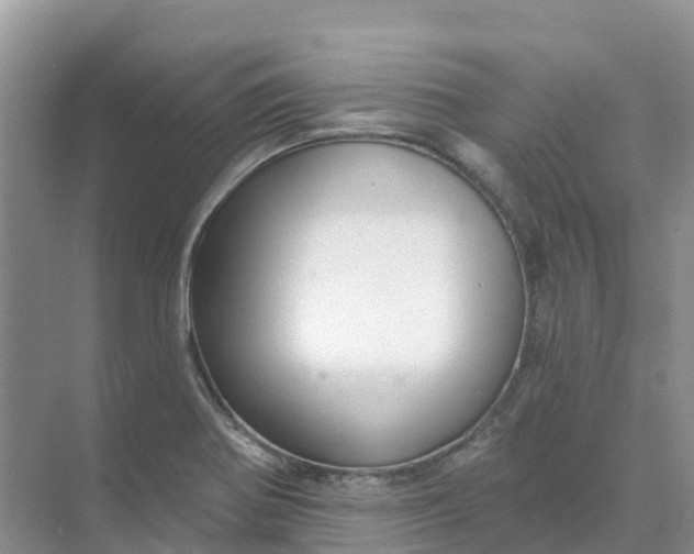 X0000074941370200609151954