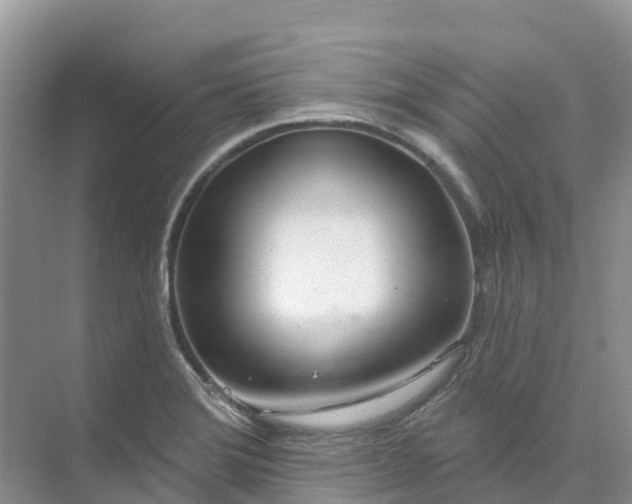 X0000074941372200609151953