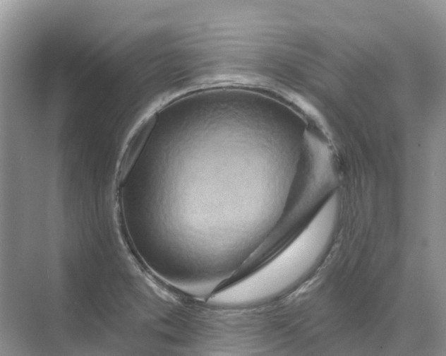 X0000074941373200609151953