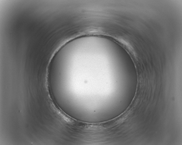 X0000074941374200609151953