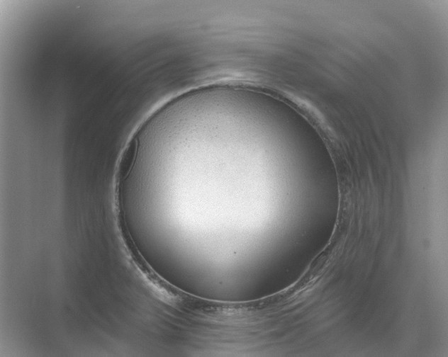 X0000074941375200609151953