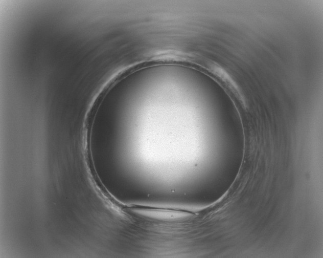 X0000074941376200609151953