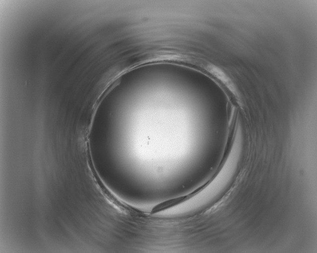 X0000074941377200609151953