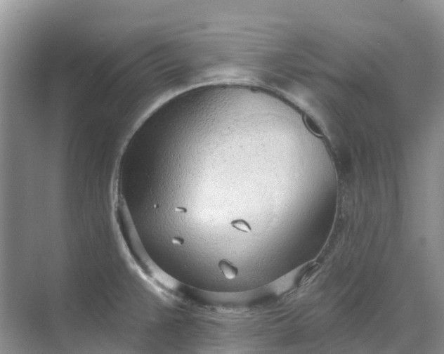 X0000074941383200609151953