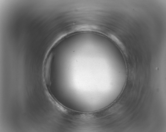 X0000074941384200609151953