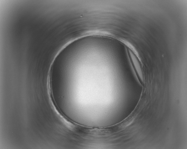 X0000074941391200609151953