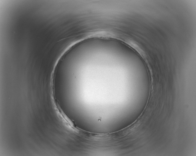 X0000074941392200609151953