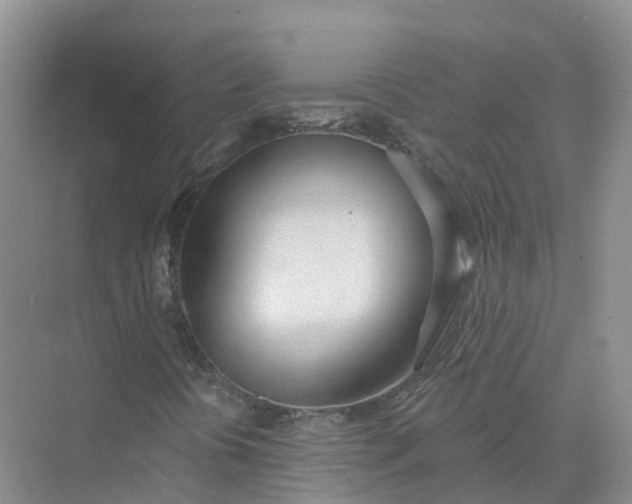 X0000074941394200609151952