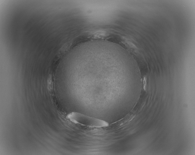 X0000074941395200609151952