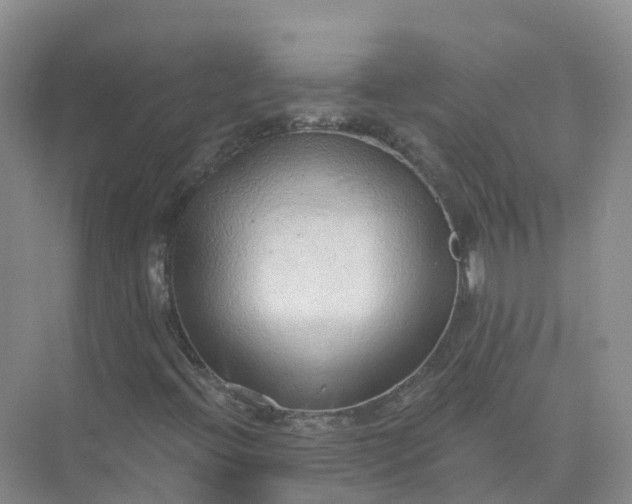 X0000074941396200609151952