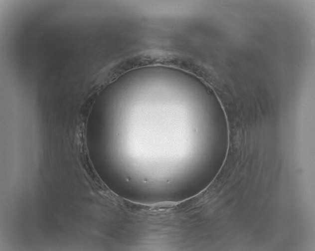 X0000074941397200609151952