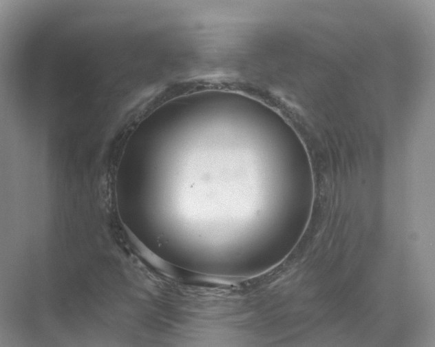 X0000074941398200609151952