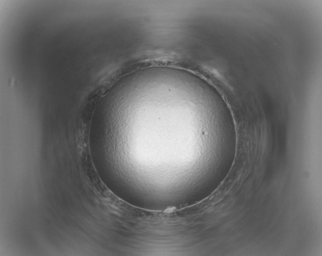 X0000074941399200609151952