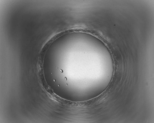 X0000074941400200609151952