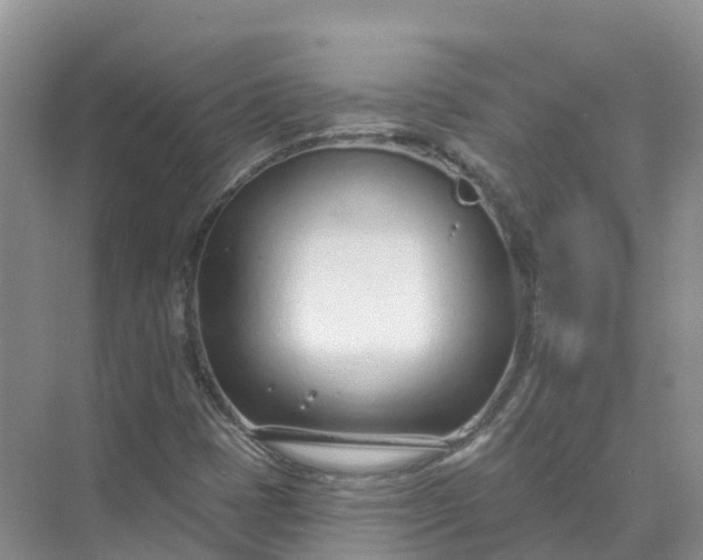 X0000074941401200609151952