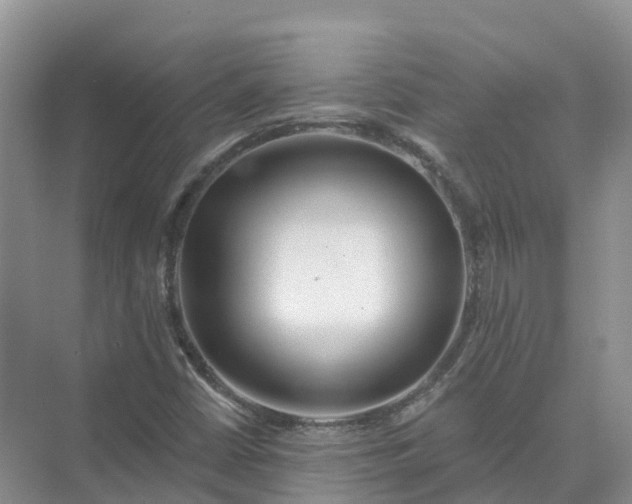 X0000074941402200609151952