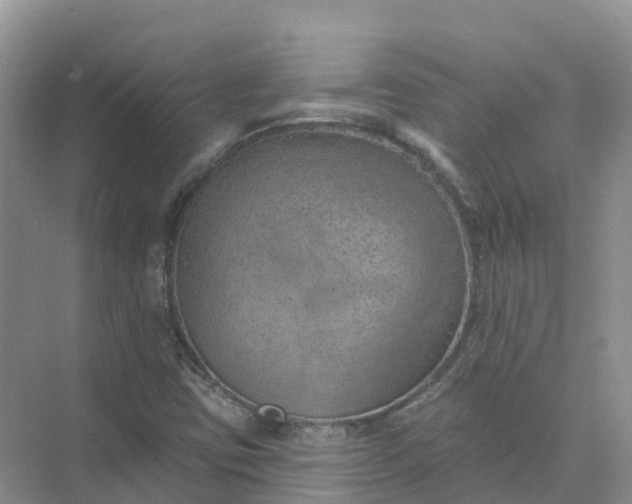 X0000074941403200609151953