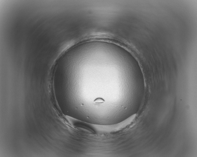 X0000074941405200609151953