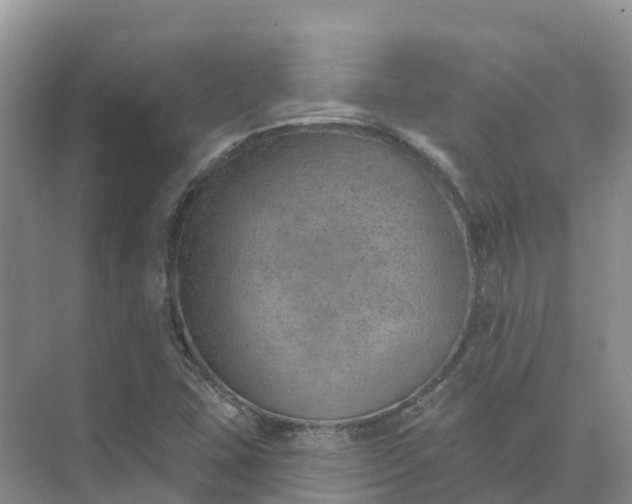 X0000074941407200609151953