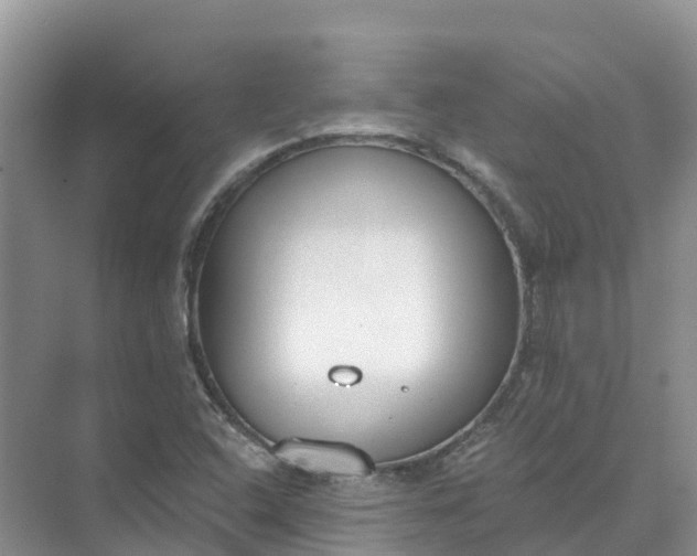 X0000074941408200609151953