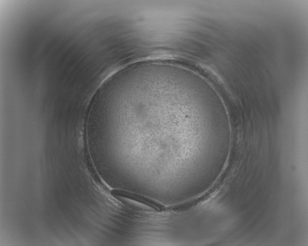 X0000074941409200609151953