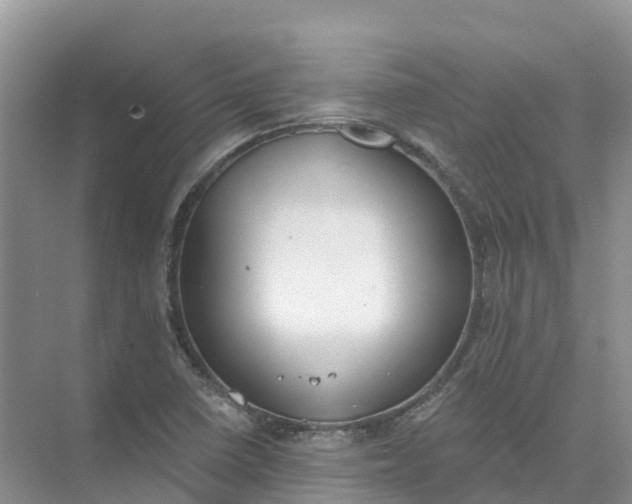 X0000074941410200609151953