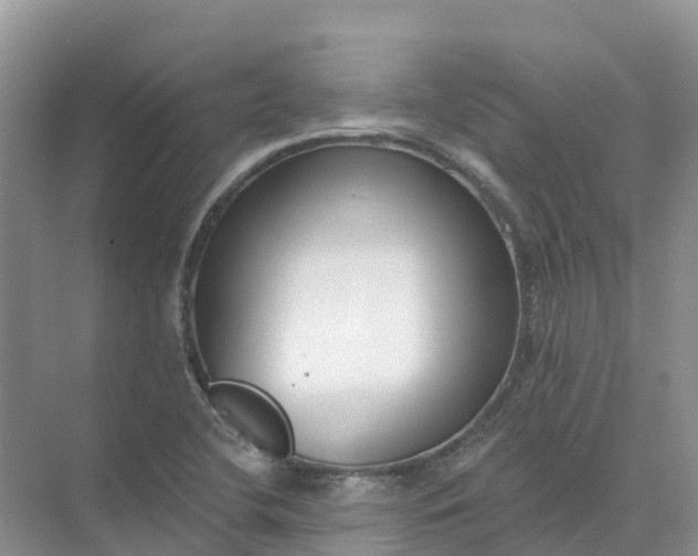 X0000074941412200609151953