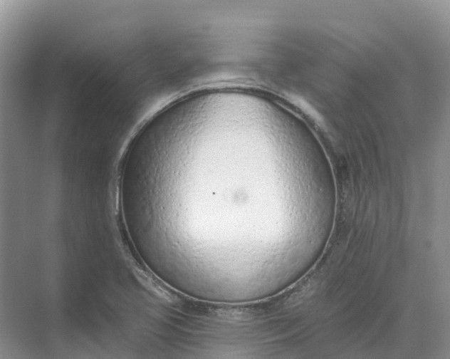 X0000074941413200609151953